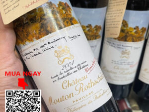 rượu vang pháp chateau mouton rothschild 2004