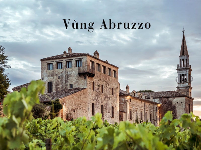 rượu vang ý cantina zaccagnini montepulciano d'abruzzo