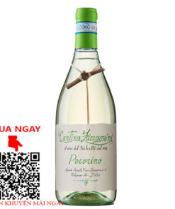 rượu vang ý cantina zaccagnini pecorino