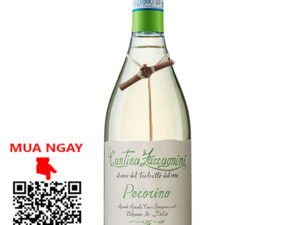 rượu vang ý cantina zaccagnini pecorino