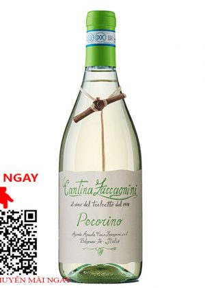 rượu vang ý cantina zaccagnini pecorino