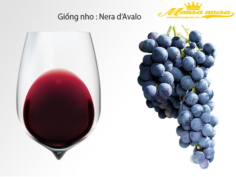 rượu vang ý cantine paolini volare nero d'avola