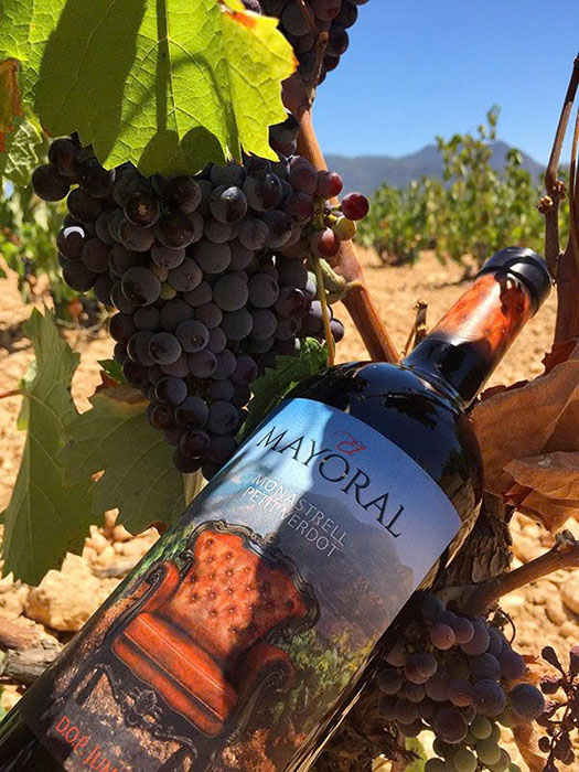 Crianza Reserva Gran Reserva: Phân Hạng Rượu Chuẩn Crianza Reserva Gran Reserva: Phân Hạng Rượu Chuẩn