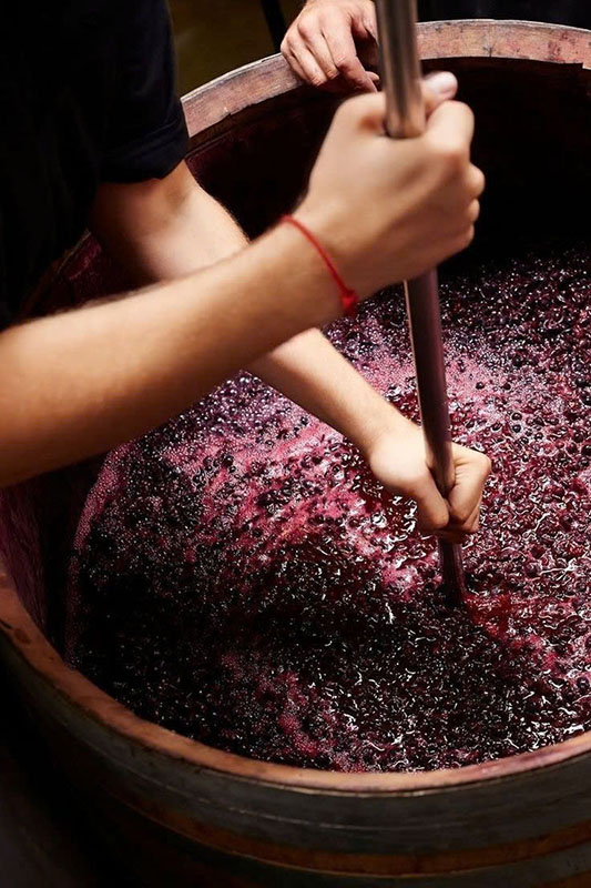 Phân hạng Crianza, Reserva, Gran Reserva trong rượu vang Phân hạng Crianza, Reserva, Gran Reserva trong rượu vang