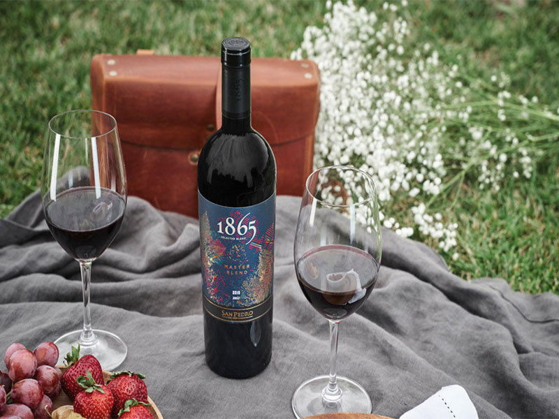 rượu vang chile 1865 master blend