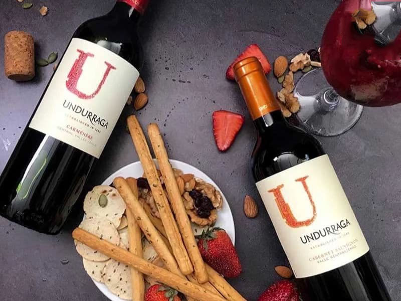 rượu vang đỏ undurraga u by undurraga cabernet sauvignon 750ml