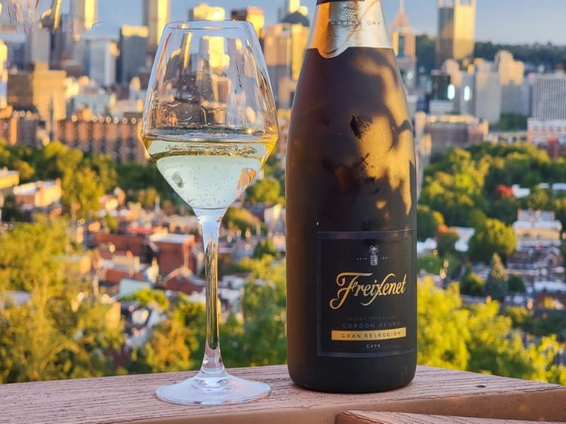 rượu vang sủi freixenet cordon negro brut cava