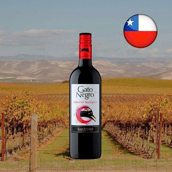 Top 10 Rượu vang đỏ chile ngon giá rẻ (từ 100k) - bán chạy nhất! Top 10 Rượu vang đỏ chile ngon giá rẻ (từ 100k) - bán chạy nhất!