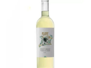 Rượu vang rube pinot grigio terre di chieti igt