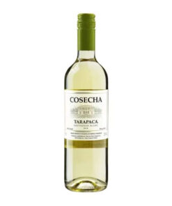 Tarapaca cosecha sauvignon blanc