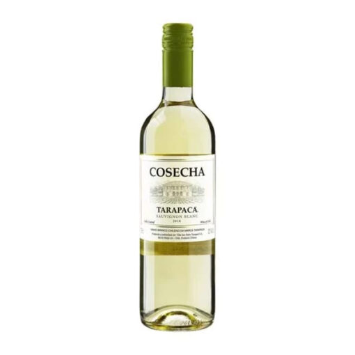 Tarapaca cosecha sauvignon blanc