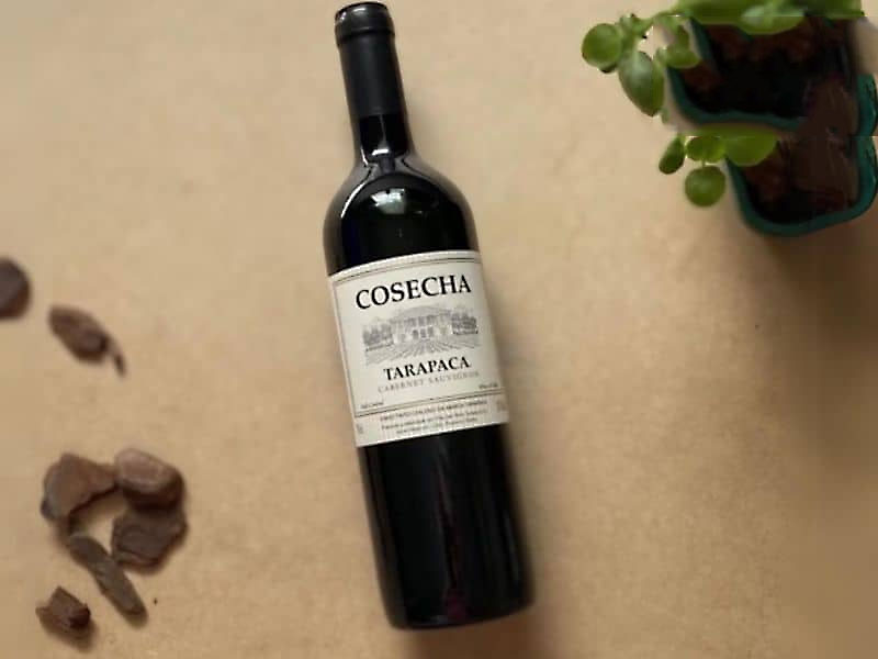 tarapaca cosecha cabernet sauvignon
