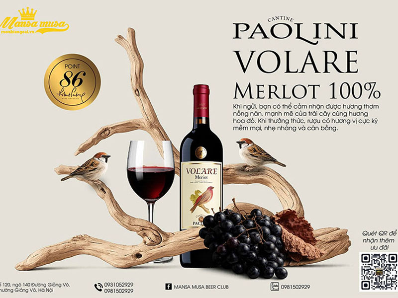 cantine paolini volare merlot cantine paolini volare merlot