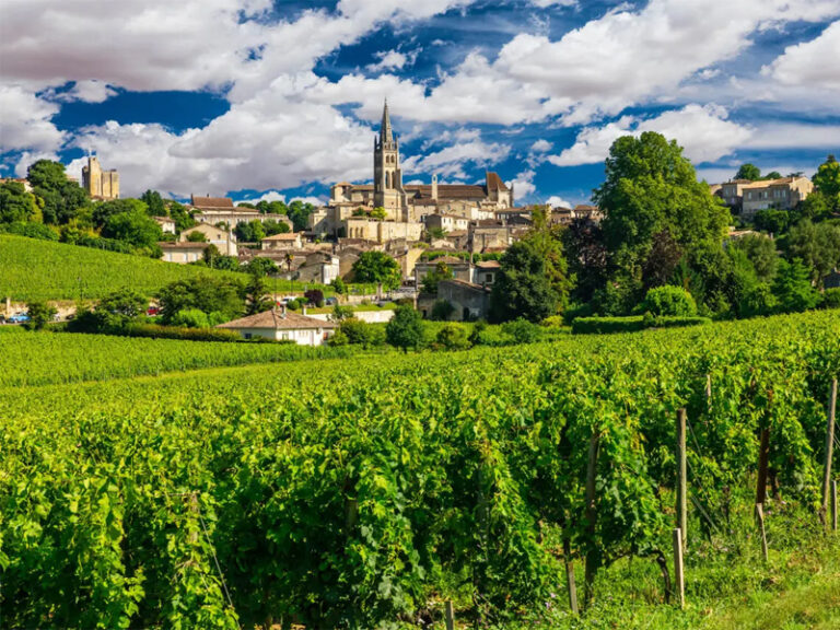 rượu vang aromatik bordeaux rượu vang aromatik bordeaux