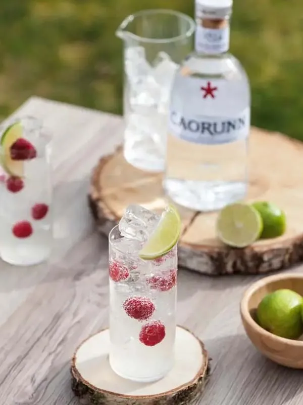 caorunn small batch scottish gin