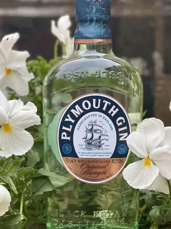 gin plymouth