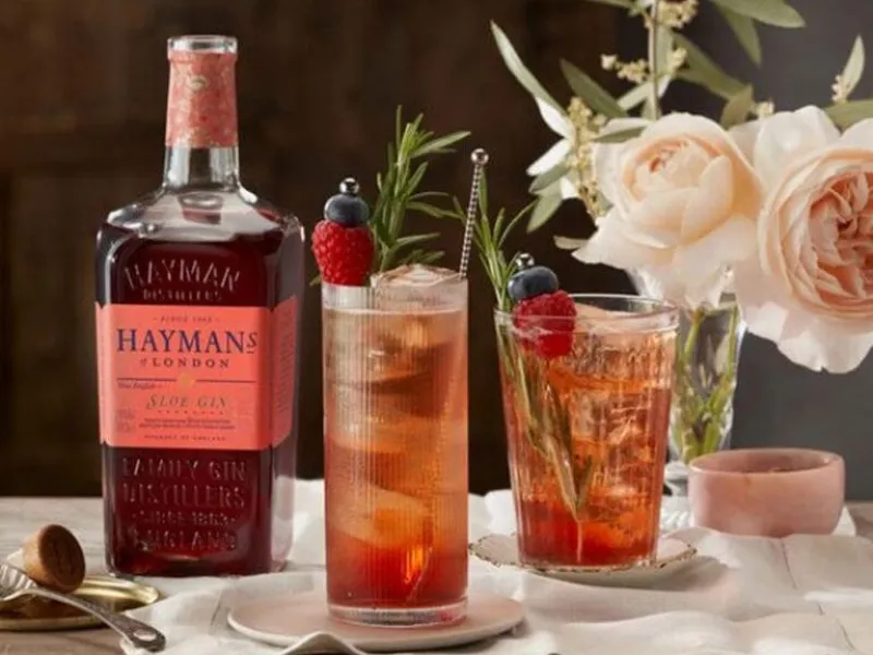 gin london hayman’s sloe gin london hayman’s sloe