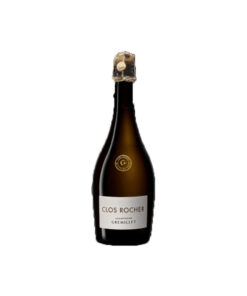 champagne gremillet clos rocher