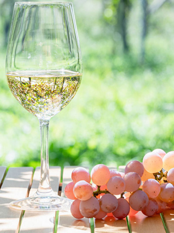 chateau de sannes aciana rose 