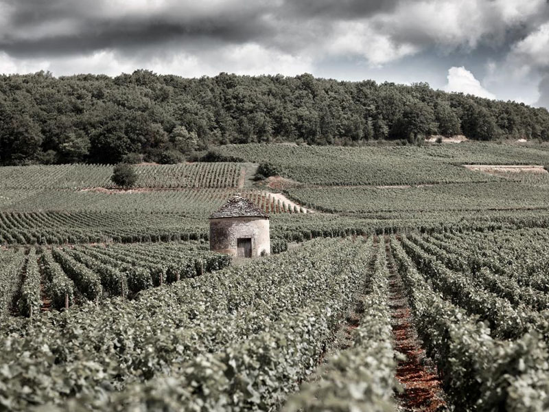 domaine seguin manuel beaune "clos des mouches" 1er cru