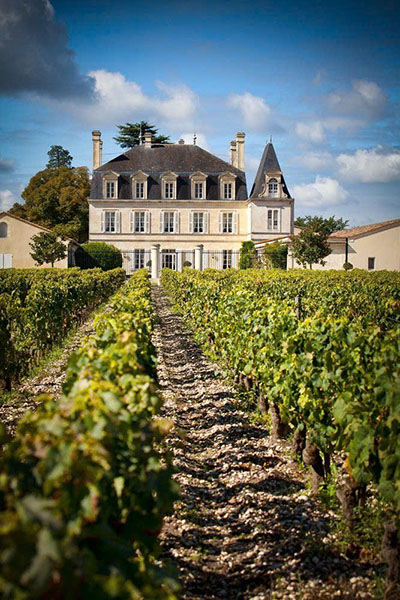 hương vị château lynch moussas 2019 hương vị château lynch moussas 2019