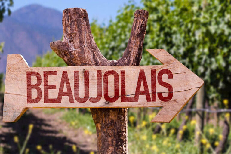 review beaujolais nouveau 2025: đáng mong chờ không