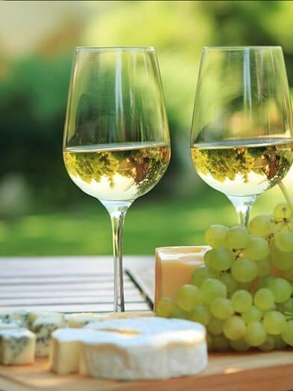 terres rares sauvignon blanc