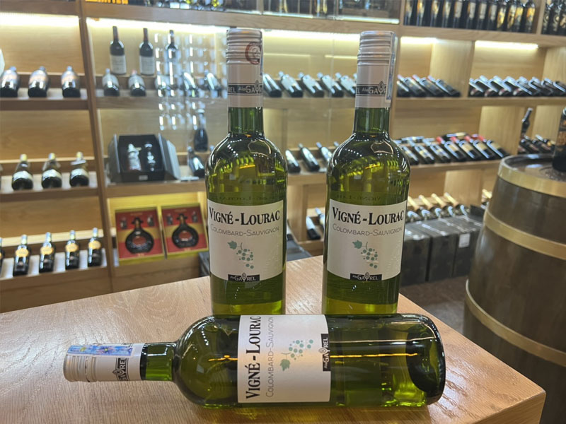 vigne - lourac sauvignon _ colombard - domaine gayrel