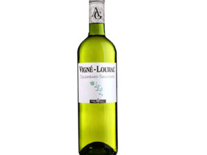 vigne - lourac sauvignon _ colombard - domaine gayrel