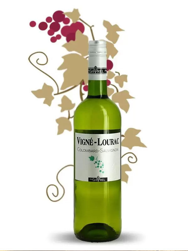 vigne - lourac sauvignon _ colombard - domaine gayrel
