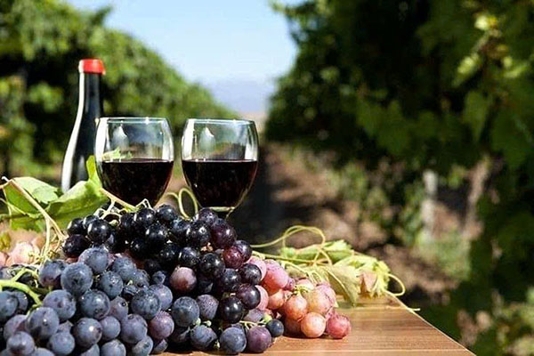 bí quyết chọn rượu vang nhập khẩu giá rẻ ngon bất ngờ bí quyết chọn rượu vang nhập khẩu giá rẻ ngon bất ngờ