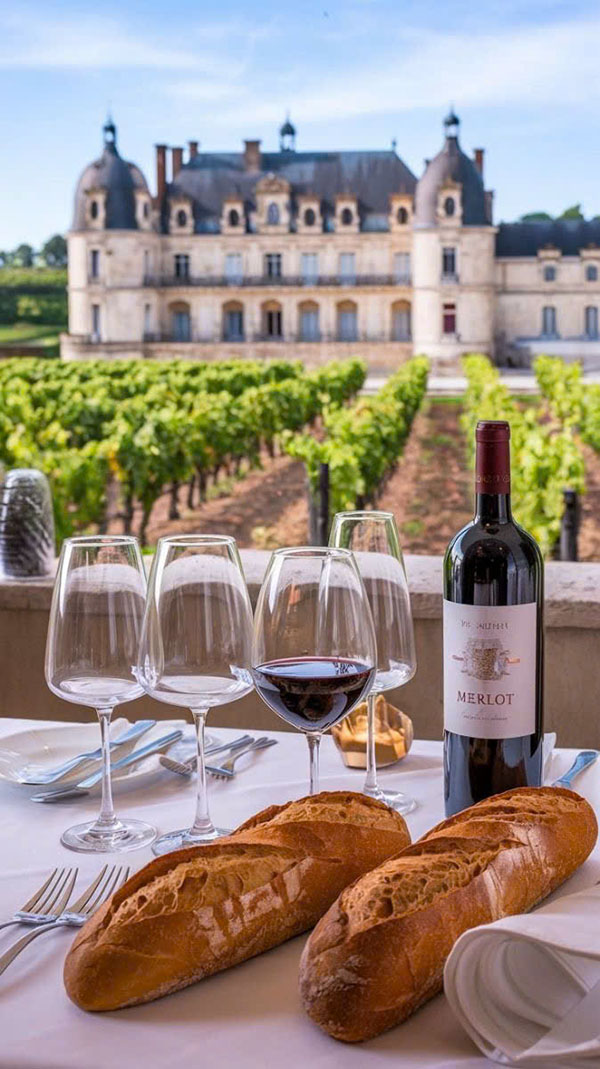 bí quyết chọn rượu vang nhập khẩu giá rẻ ngon bất ngờ bí quyết chọn rượu vang nhập khẩu giá rẻ ngon bất ngờ