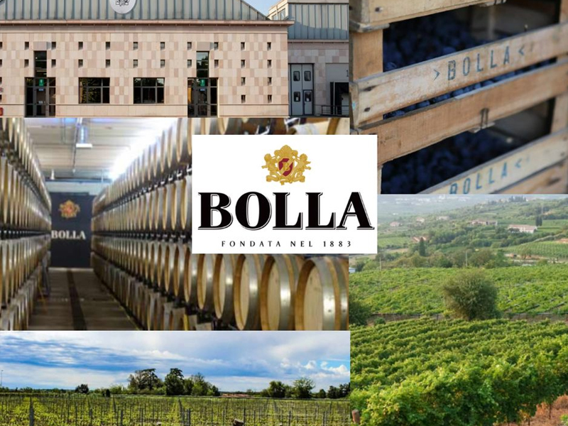 bolla pinot grigio valdadige doc rétro bolla pinot grigio valdadige doc rétro