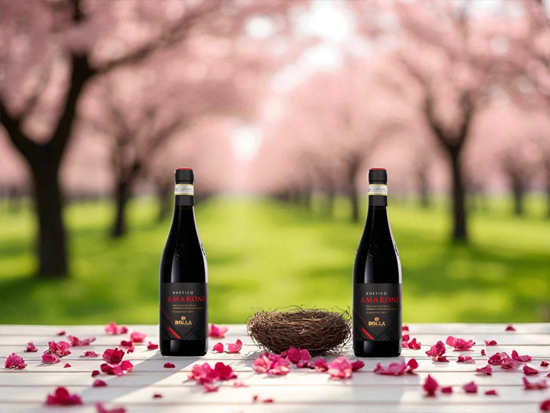 bolla rhetico amarone della valpolicella classico docg
