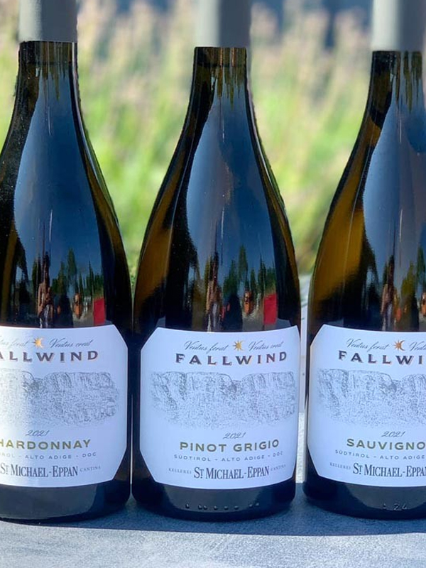 fallwind pinot grigio alto adige doc fallwind pinot grigio alto adige doc