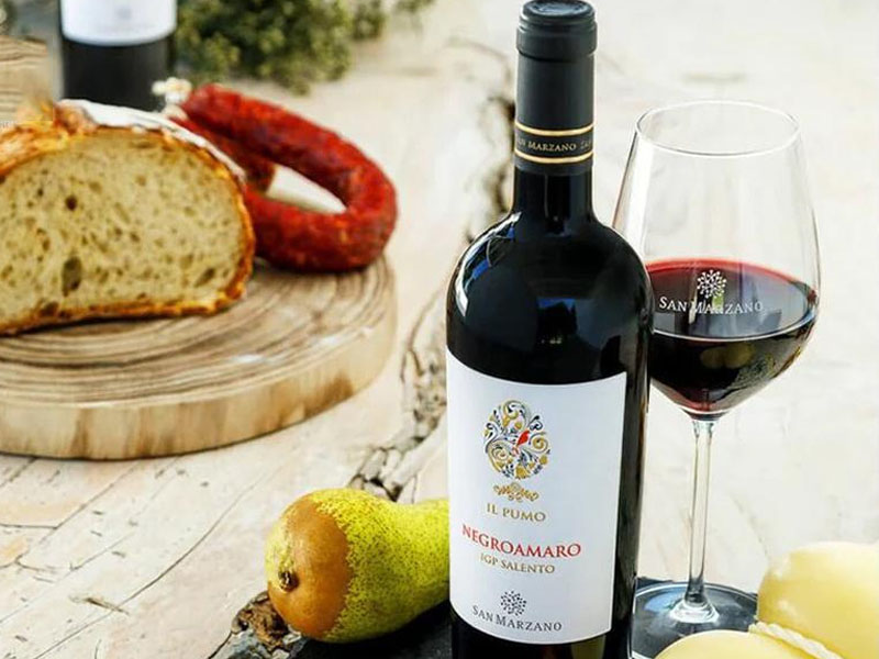 Il pumo negroamaro salento igp, cantine san marzano
