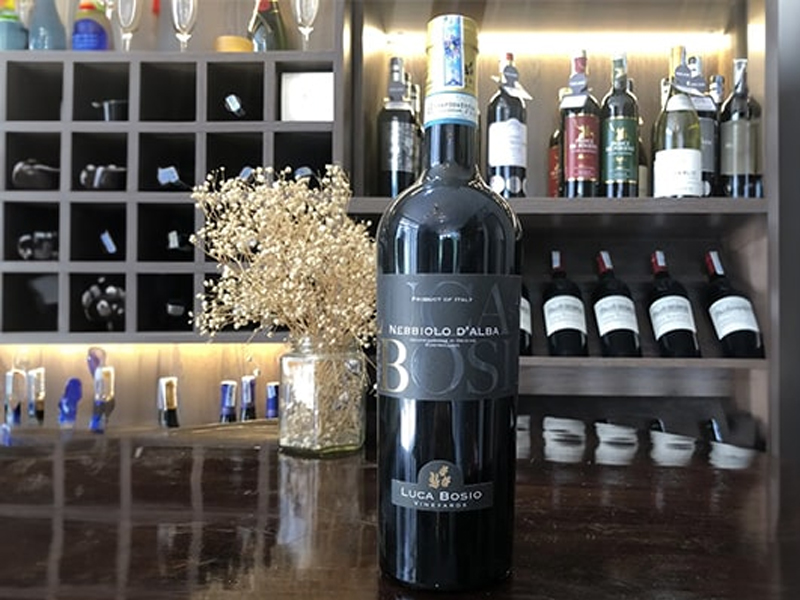 luca bosio barbera d'alba doc egidio 14%
