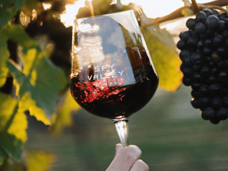 rượu satellite pinot noir rượu satellite pinot noir