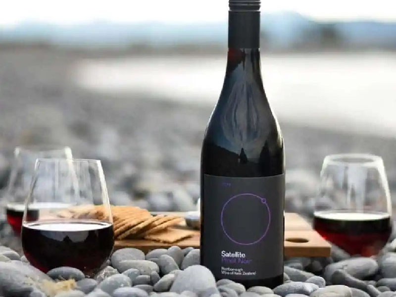 rượu satellite pinot noir rượu satellite pinot noir