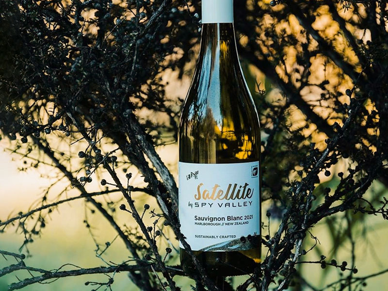 rượu satellite sauvignon blanc