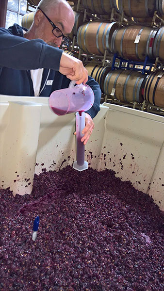 rượu vang argentina baron edmond de rothschild, flechas de los andes gran malbec, los andes rượu vang argentina baron edmond de rothschild, flechas de los andes gran malbec, los andes