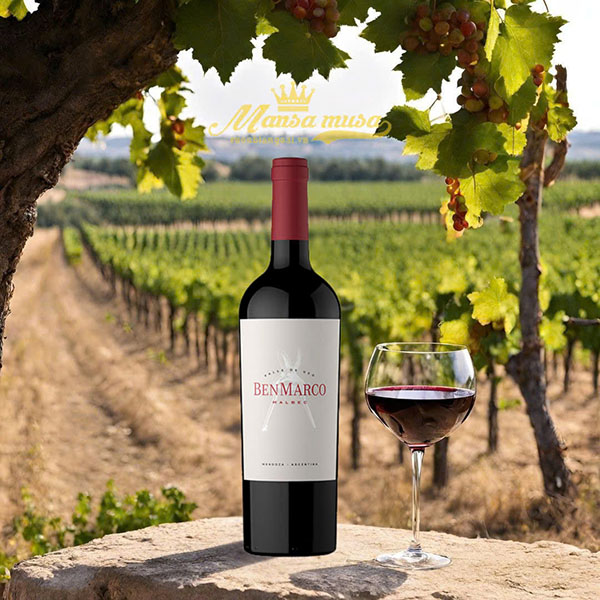 rượu vang argentina benmarco malbec los chacayes – uco valley rượu vang argentina benmarco malbec los chacayes – uco valley