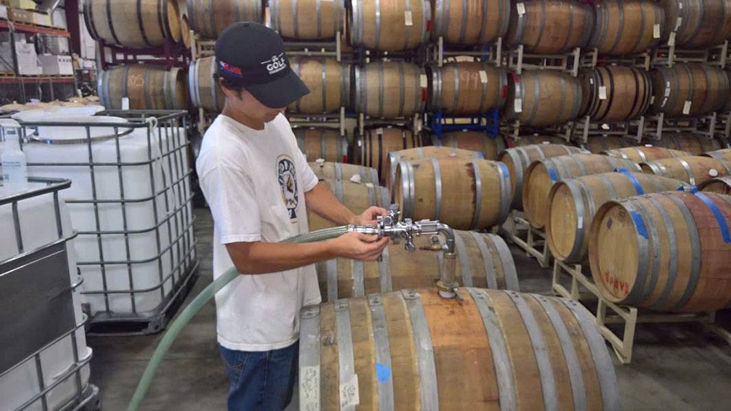 rượu vang baron edmond de rothschild, flechas de los andes gran cabernet franc, los andes rượu vang baron edmond de rothschild, flechas de los andes gran cabernet franc, los andes