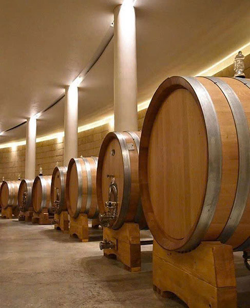 rượu vang benmarco, expresivo, gualtallary, uco valley (80% malbec, 20% cabernet franc) rượu vang benmarco, expresivo, gualtallary, uco valley (80% malbec, 20% cabernet franc)