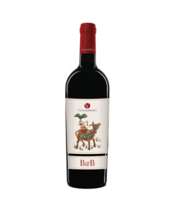 rượu vang ý đỏ cf collefrisio b&b hộp quà tết 2026