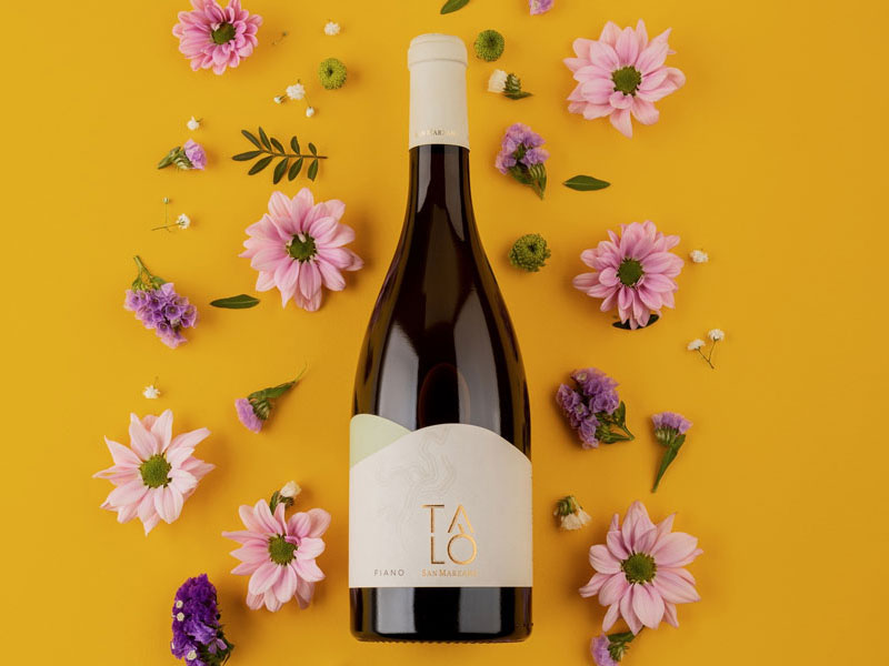 Talò fiano salento igp, cantine san marzano