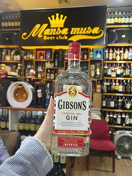 top 5 rượu gin dưới 500k: lựa chọn tuyệt vời 2026