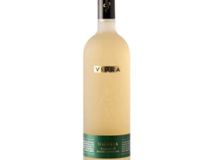 bigi vipra bianco umbria igt
