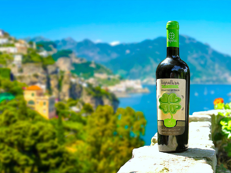 cinquesegni, vigna pura primitivo puglia igp biologico
