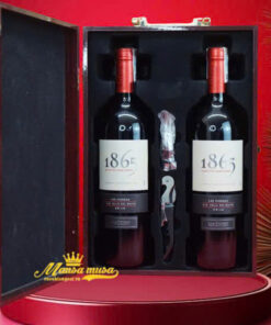hộp quà tết 2026 rượu vang chile ms052